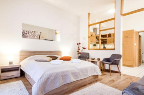 Downtown charm with balcony and garden view Budapest
